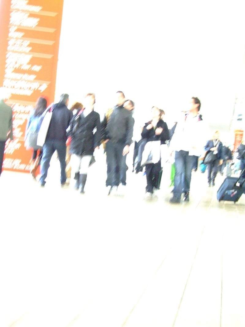 Paparazzi frenzy